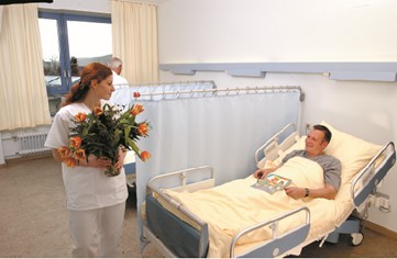 NMP_Renaissance Privacy Curtains..jpg NMP_Renaissance Privacy Curtains